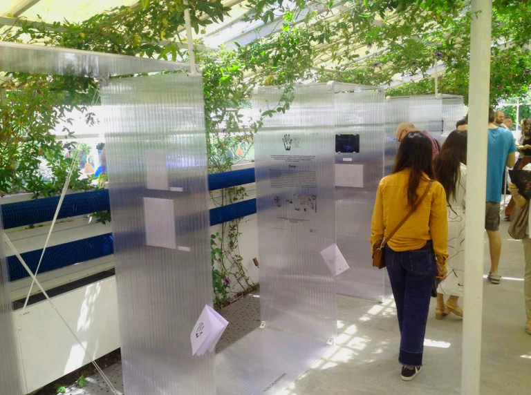 Progetto esterno, Giardini Margherita, Stiamo lavorando per voi, 2019